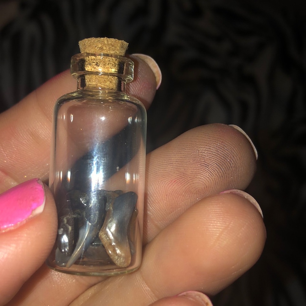 Sharks teeth in a glass vile